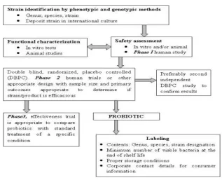 Figure 3. Manufacturing process of Probiotic formulation