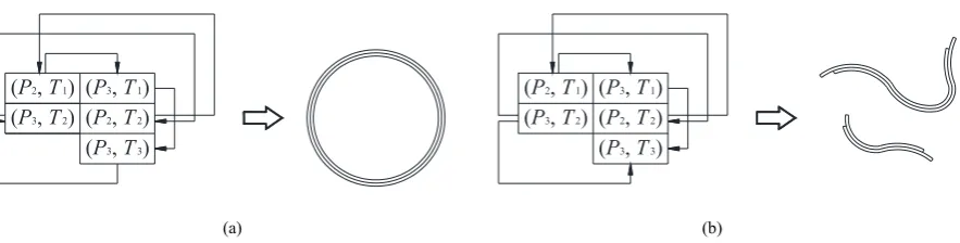 Figure 2.   Two different types of directional pair cell sets, each of which has its own molecular type: (a) a pair cell set of a cyclic direction corre- sponds to a circular molecule; (b) a pair cell set of an acyclic direction corresponds to two linear m