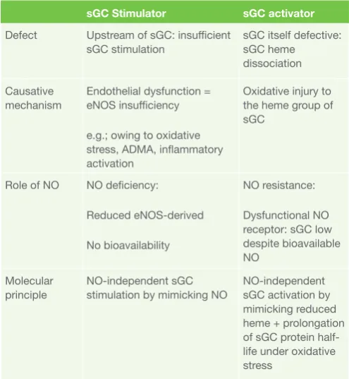 Figure 1. sGC-derived  cGMP  generation  in  various  cell types  couples endothelial  NO  synthesis  to  function  of organs  including  the  heart  and  kidneys