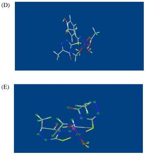 Figure 8. 3D structures of  Schiff base (A),Cu(L)(OAc).H2O (B), Cu(L)2 (C), Co(L)(OAc).3H2O (D) and Co(L)2.2H2O (E) 