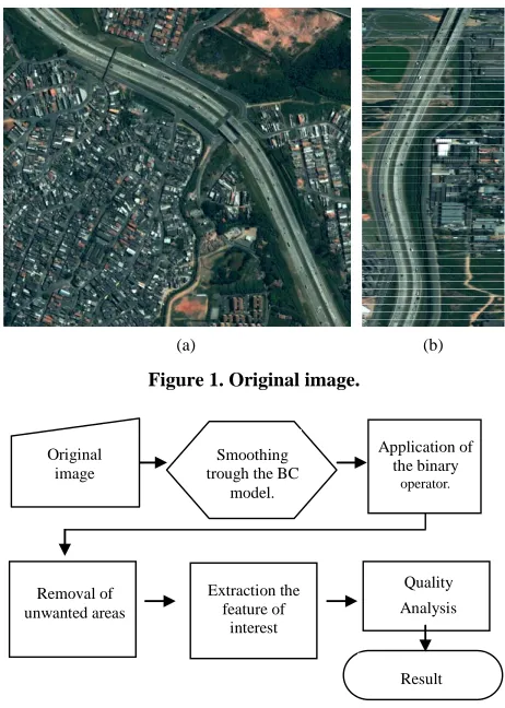 Figure 1. Original image. 