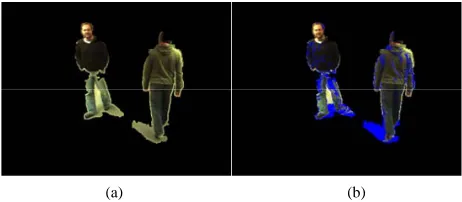 Figure 4. Shadow regions detection. (a) segmented fore-ground image; (b) shadow detection (the blue color pixels are the detected shadow)
