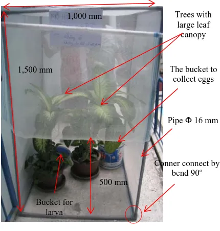 Fig. 1 BSFL breeding model. 