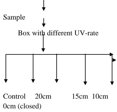 Table 1 shows the initial readings before the plant specimens were exposed to UV-light, the plant in chamber D had the highest plant height, number of leaves and number of branches with 19.25cm, 24.00cm and 5.50cm respectively