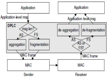 Figure 3: DPLC Overview 