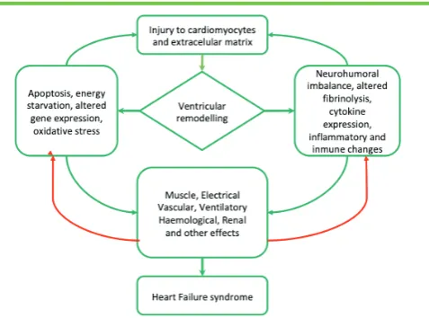 Figure 1. Pathophysiology of HF as a result of LV dysfunction. effects on other organs and tissues, and further damage to the lead to electrical instability, systemic processes resulting in many heart