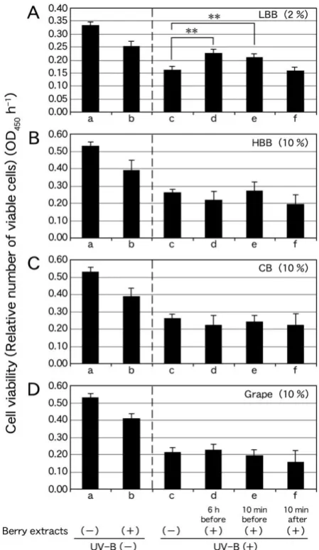 Figure 3. Effect of transient UV-B (+) (80 s) on the viability of NHEKs treated with extracts of 2 % LBB (A), 10 % HBB (B), 10 % CB (C) and 10 % grape (D) 6 h before, 10 min before and 10 min after UV-B (+)