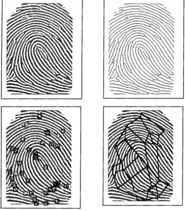 Fig. 4: Biometric Authentication 