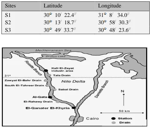 Table 1. The latitude and longitude of sampling stations at Rosetta Branch (GPS). 