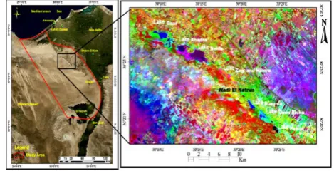 Figure 2. Digital Elevation Model (DEM) of Wadi El Natrun depression. 