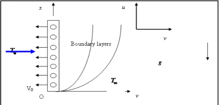 Figure-1: Physical model and coordinate system 