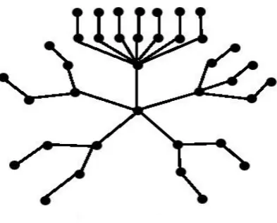Figure 1 : Tℎe structure of the rooted tree Bk   