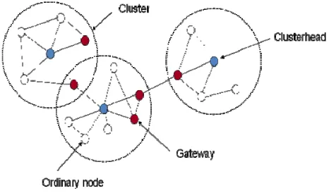 Fig. 3. The Cluster Structure for MANET 
