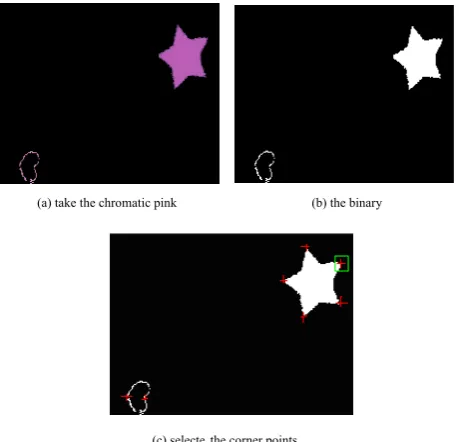 Fig. 7 (a) is chromatic pink extracted from the segmented 