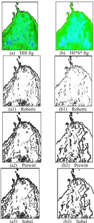 Figure 4. Edge detection based on the improved HIS color space 