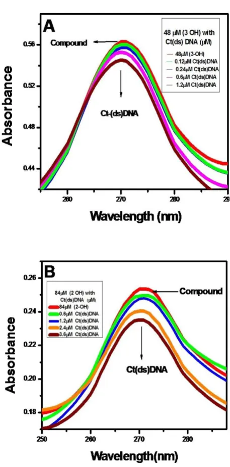 Figure 1. Absorption spectra of (A) 48 μM of Baicalein and (B) of 84 μM of DHF with varying concentration of Ct-(ds) DNA
