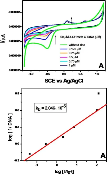 Figure 5B. Cyclic voltammograms of interaction of DHF with various concentrations of Ct-(ds) DNA