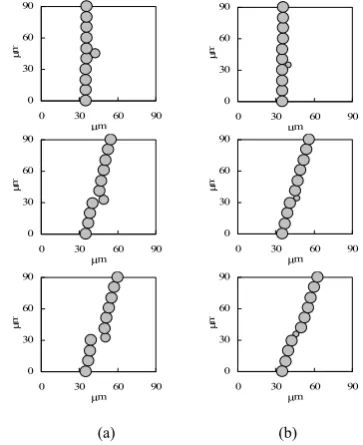 Figure 6.    Simulation of the microstructure in MR fluid when an external magnetic field and a shear strain are applied simultaneously