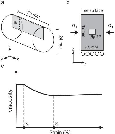 Figure 1. Schematic illustration of model setup showing (a) two-dimensional arearesulting from the activity of dynamic recrystallization processes (see text fordetails)