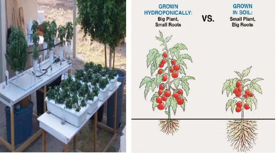 Fig. 2: Block diagram of automated hydroponic farming 