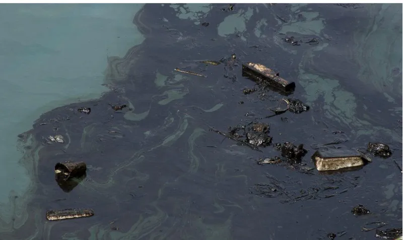 Fig. 1: Oil pollution 