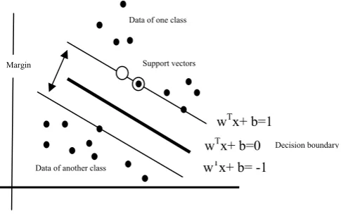 Fig 2: Hyper plane of Support Vector Machines 