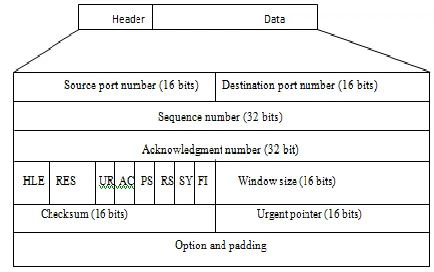 Figure 2.1: TCP header 