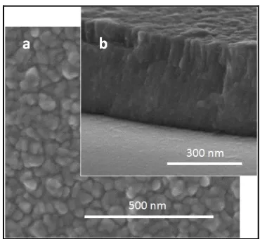 Figure 2. SEM images of the TiV getter film: (a) surface; (b) cross section. 