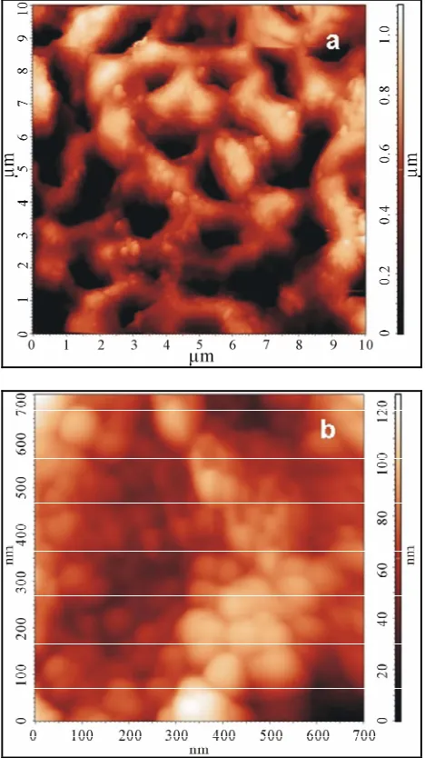 Figure 7. SEM image of the experimental composite struc- ture. 