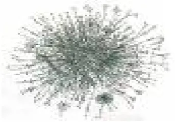Figure 2 NEURON cell builder window  