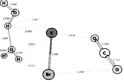 Figure 6. Calculated optimized geometry of the (2H2O/CO2/KBr) system. 