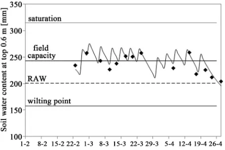 Figure 4. Observed (dots) vs simulated (line) soil water content for a cabbage plot. Each dot represents an average of three data