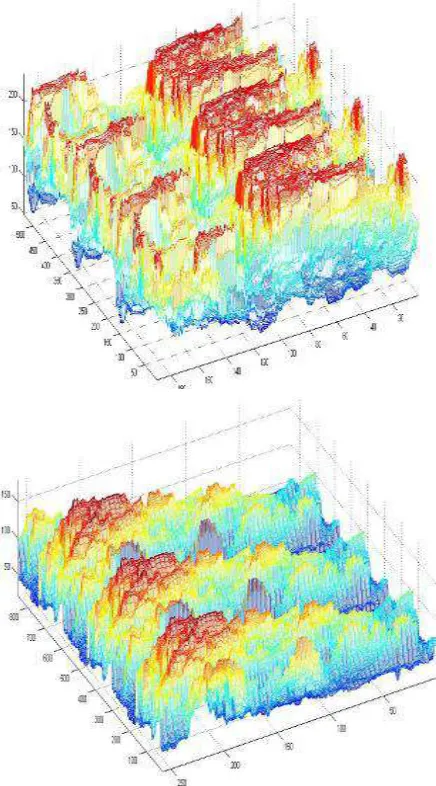 Figure 5 Energy optimization surface of chromatic vector in turbulence image. With x and y axes in the horizontal plane denote the area size of target block, and z axis in these figures show the logical height of energy optimization surface