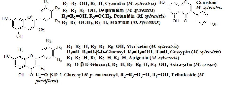 Figure 1. Selected flavonoids in three Malva Table 1. Traditional uses of M. neglecta