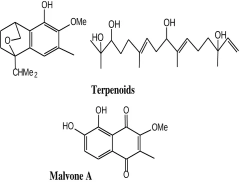 Table 6. Modern research findings of Malva neglecta. 