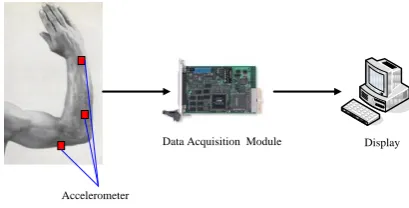Figure 1.   The schematic diagram of action recognition system 