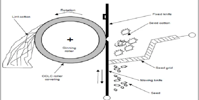 Fig. 1: working principle of cotton roller Ginning [2] 