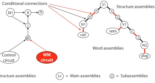 Figure 2: Sentence representation in a sentence neural blackboard.