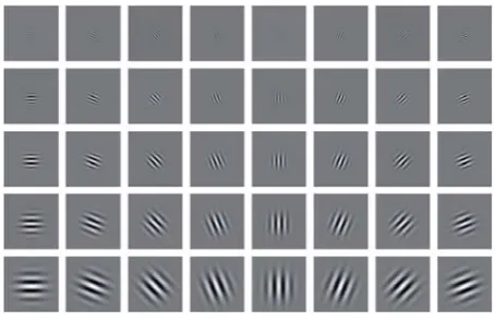 Fig. 4:  An example of the real part of Gabor wavelets with 5 scales and 8 orientations