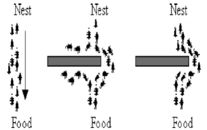 Fig. 4.  Illustrating the behavior of real ant movements.   
