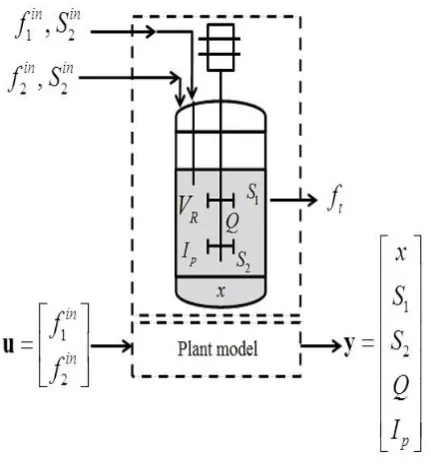 Figure 1.  Biodiesel production model for a microalgae culture 
