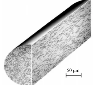 Figure 2. Ti-6Al-4V forged plate microstructure [1]. 