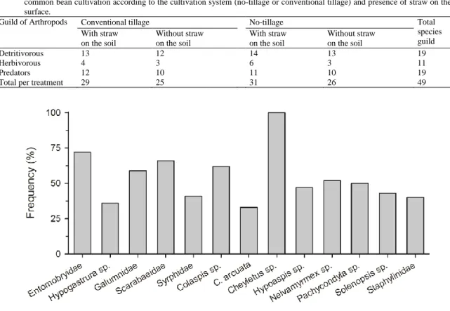 Table 1: Richness (number of species per treatment) of detritivorous, herbivorous and predatory arthropods located underground during the  common bean cultivation according to the cultivation system (no-tillage or conventional tillage) and presence of stra