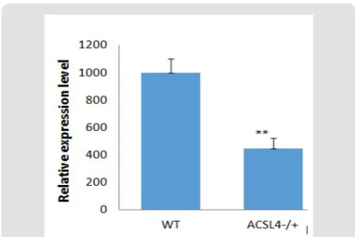 Figure 5: Real-time PCR for Acsl4 mRNA expression analysis.