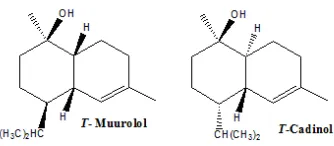 Figure 6. Selected alkaloids isolated from Arum subspecies 