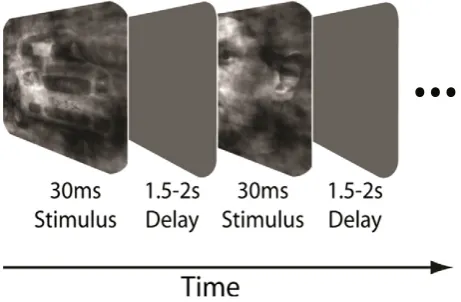 Fig. 1. Schematic representation of the behavioural paradigm. Within a block of trialssubjects were instructed to ﬁxate on the centre of the screen and were subsequentlypresented, in random order, with a series of different face and car images at one of si