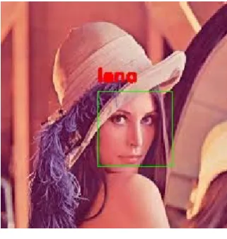Fig. 11 face processing on static image. 