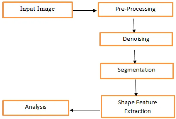Fig. 1: Stages of Processing the Microscopic Image. 
