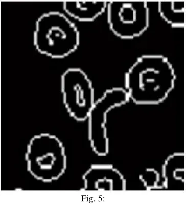 Fig. 4: Gray scale of RGB image.  