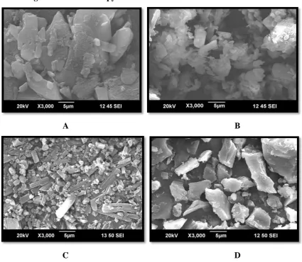 Figure 5: A: Scanning Electron Microscopy of Ibuprofen. 